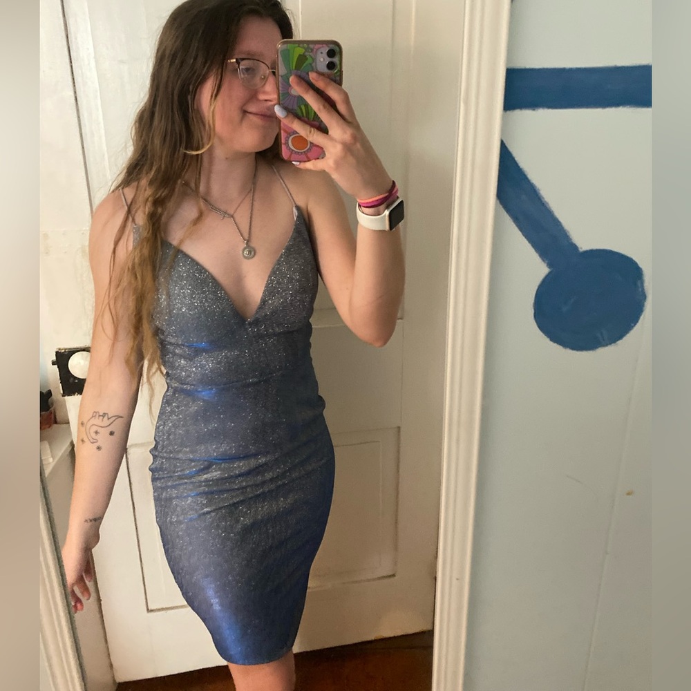BNWT Windsor silver dress